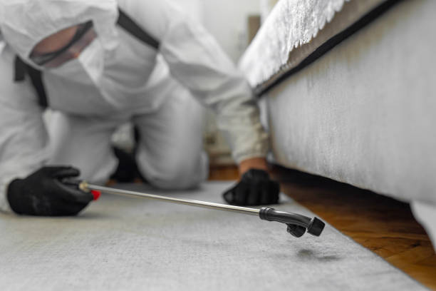 Professional Bed Bug Control technician working in Pisgah, AL