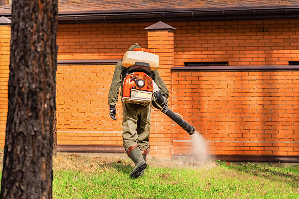 Trusted Rodent Control service in Pisgah, AL - Nex Pest Control